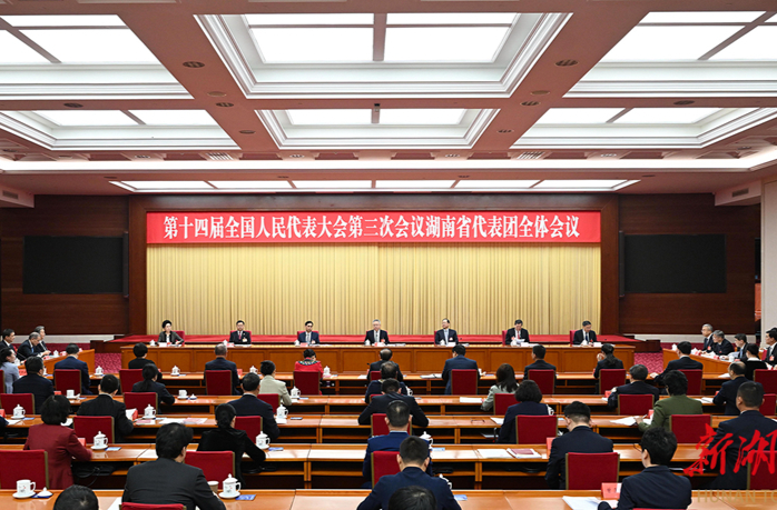 湖南代表团举行第四次全体会议和分组会议