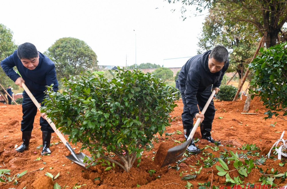 履行植树义务 助推“一迎三创” 2025年全市集中义务植树活动举行