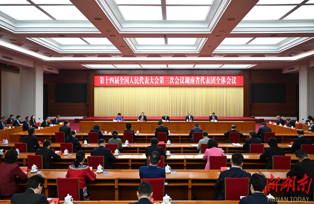 湖南代表团举行分组会议和第五次全体会议
