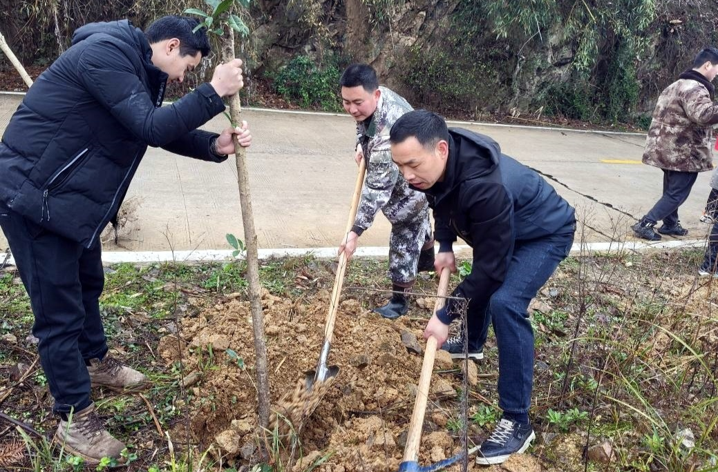 大树坳乡：植绿添彩正当时 乡村焕新启新程