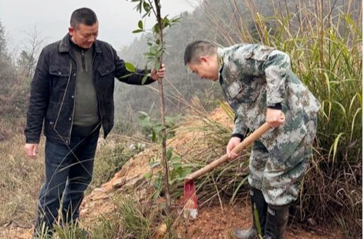 牛牯坪乡：“植”此青绿 不负春光