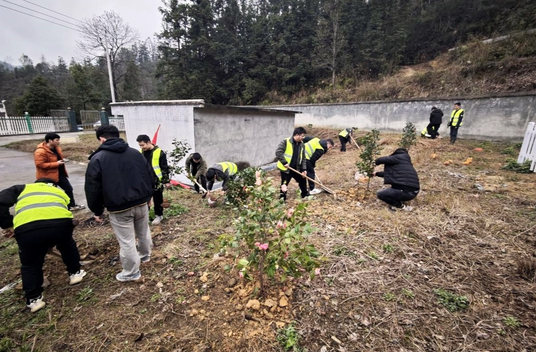 碧涌镇：党群携手添新绿 共绘碧涌生态图