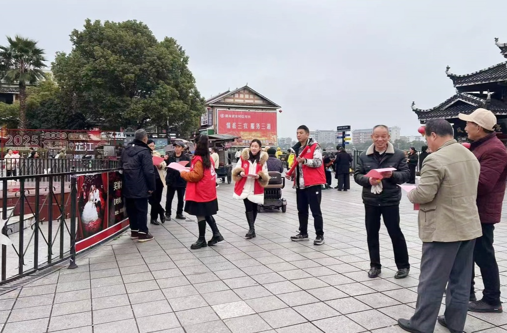 芷江镇：开展多样化宣传活动 让“三会”走进百姓生活