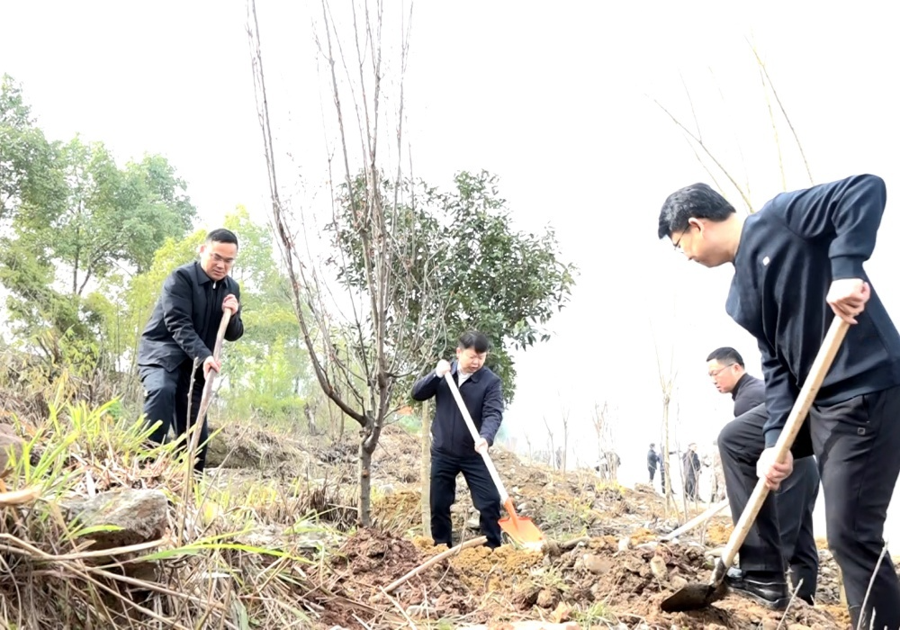 县四大家领导带头开展义务植树活动