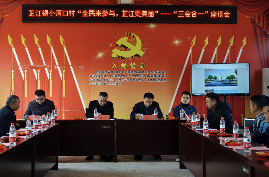 芷江镇举办“三会合一”宣传活动