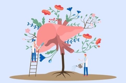 周末·健康丨春季便秘高发？养好肝脾肺是关键！医生支招→