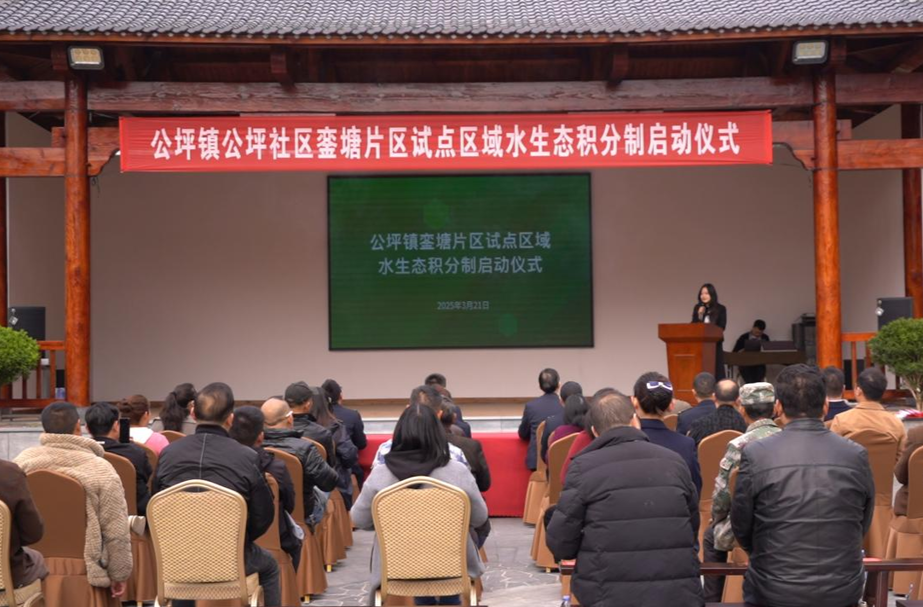 公坪镇公坪社区銮塘片区试点区域水生态积分制仪式正式启动