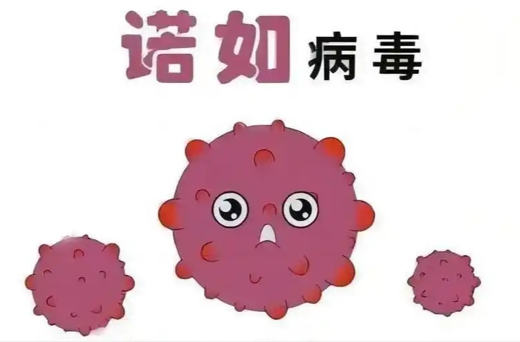 预防诺如病毒感染，做到这五点 | 科普时间