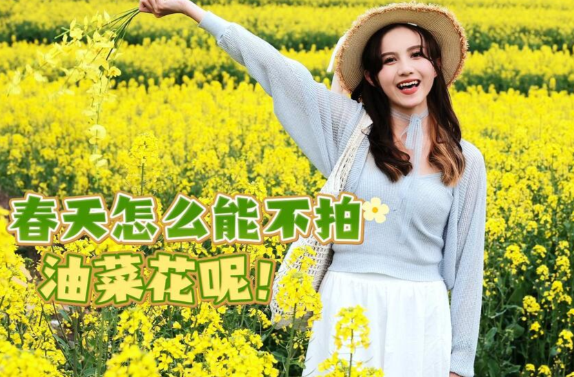 在油菜田按下生活的暂停键：芷江春日慢生活指南