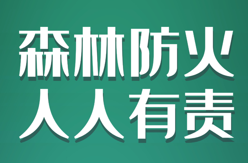 树牢防火意识 严防森林火灾