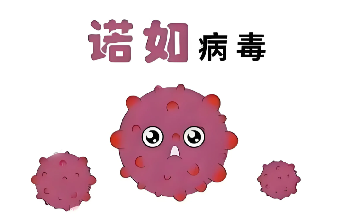 感染诺如病毒后可以使用抗生素治疗……是真是假？| 谣言终结站