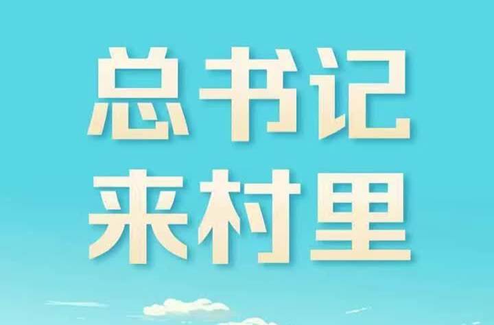 学习时节丨总书记来村里
