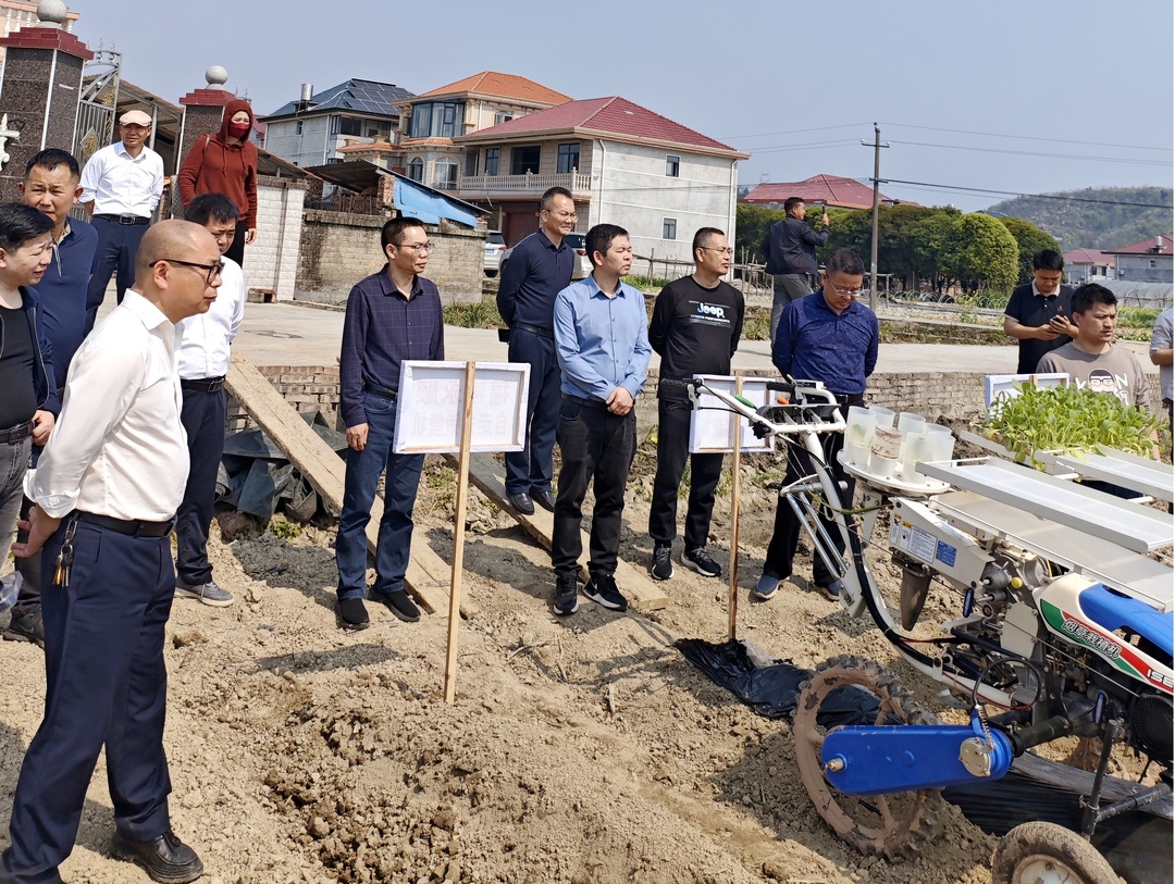 全市烟叶移栽、旋耕起垄栽培现场会在芷江镇举行