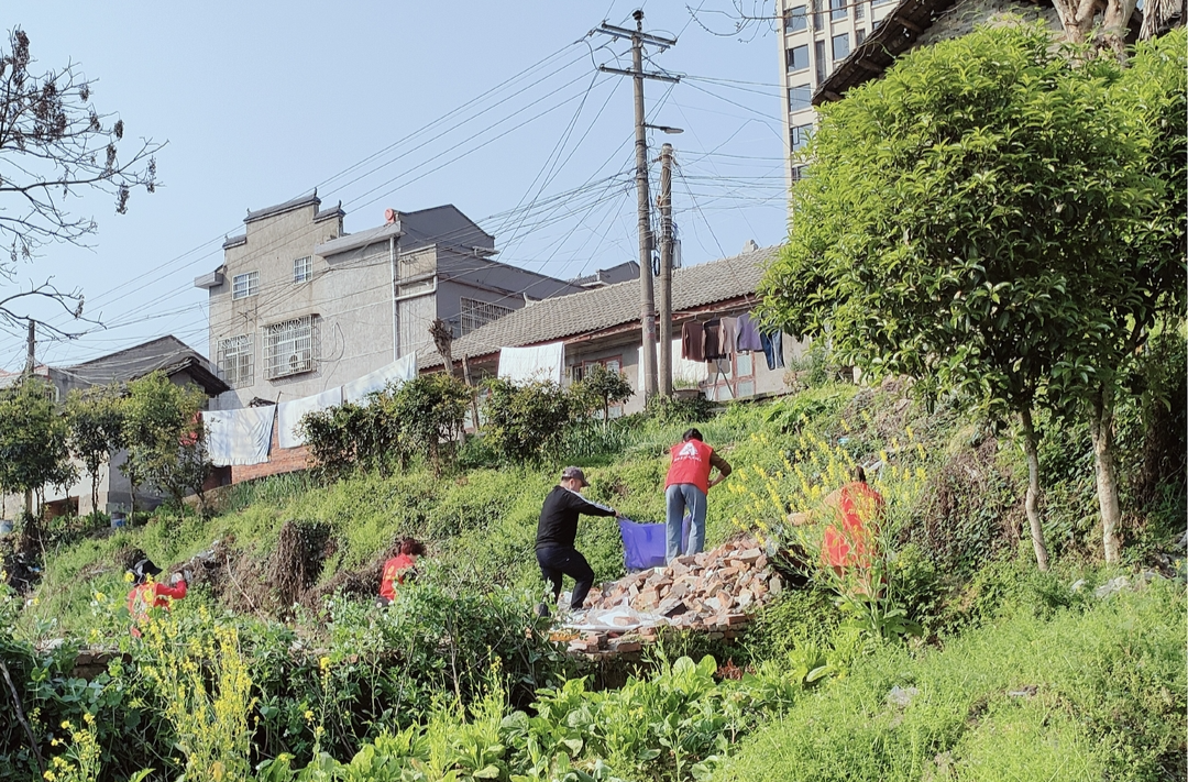 芷江镇打响环境提质攻坚战 干群同心扮靓家园迎盛会