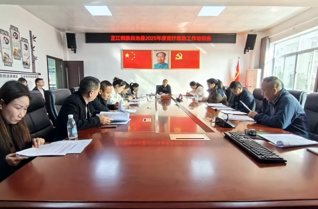 芷江医保局组织召开医疗救助工作培训会