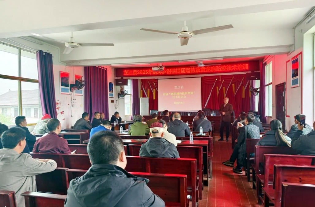 晓坪乡：科技赋能 助力柑橘产业发展