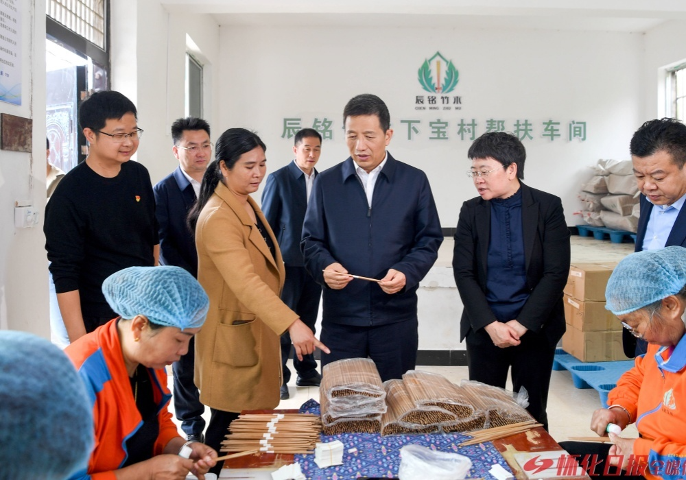 许忠建在靖州、通道调研
