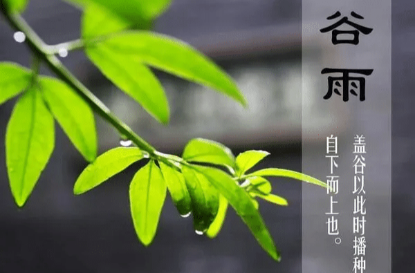 谷雨节气到，湖南暴雨预警发布数量居全国第二