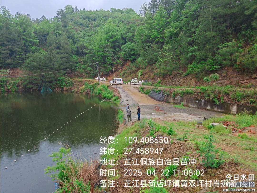 新店坪镇：强化汛前准备 筑牢安全防线