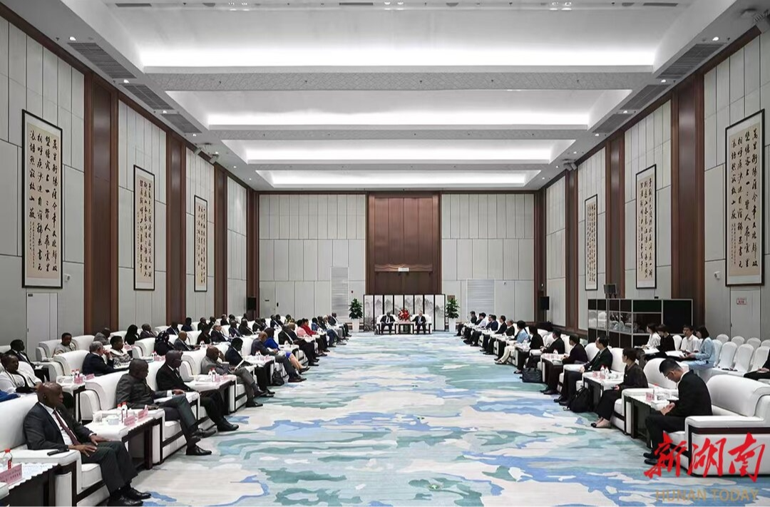 沈晓明会见非洲驻华使节代表团