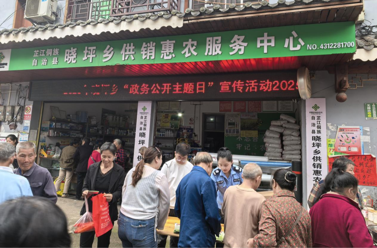 晓坪乡开展“政务+法治”主题宣传活动