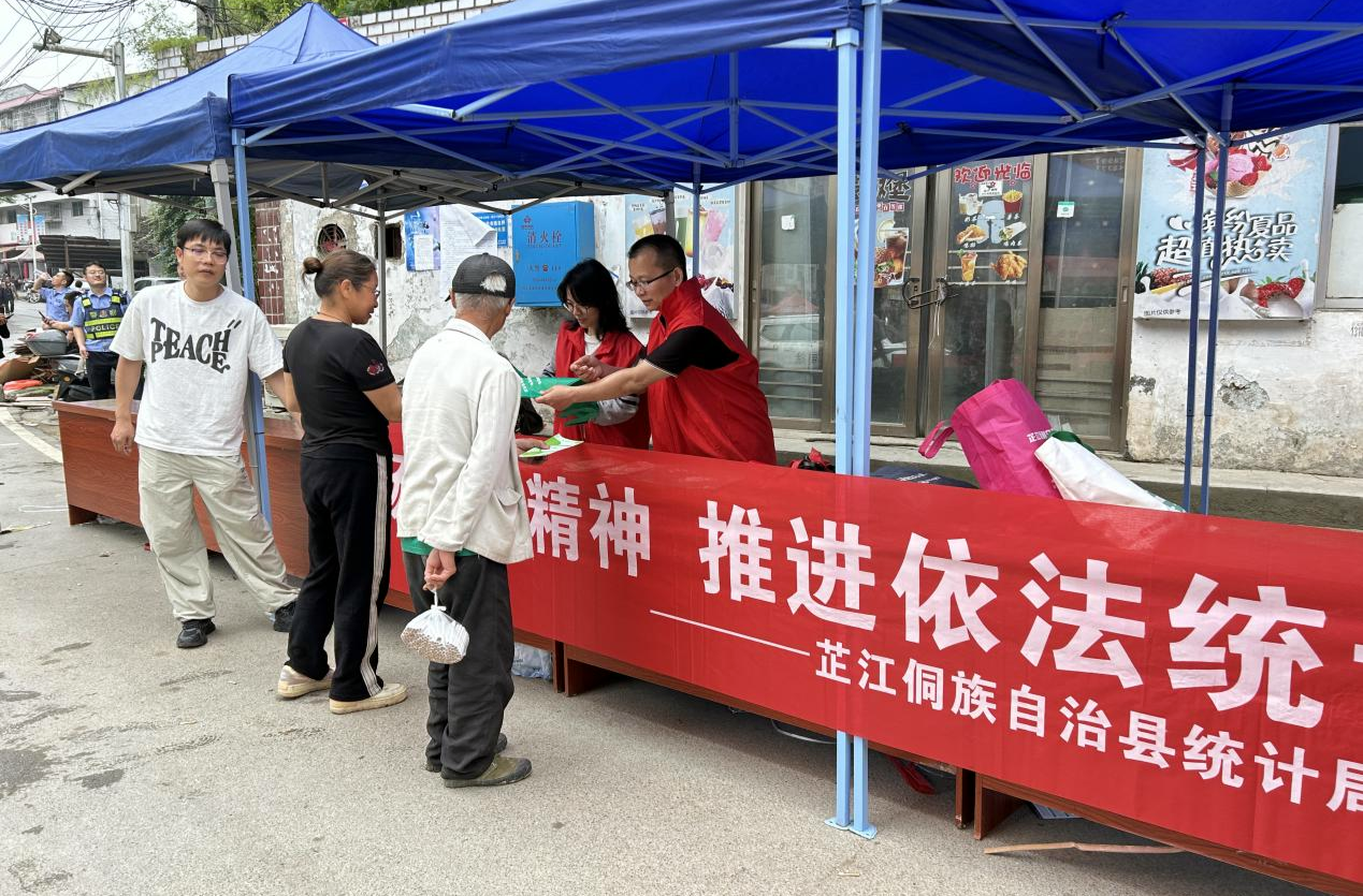 芷江统计局开展统计法治宣传活动