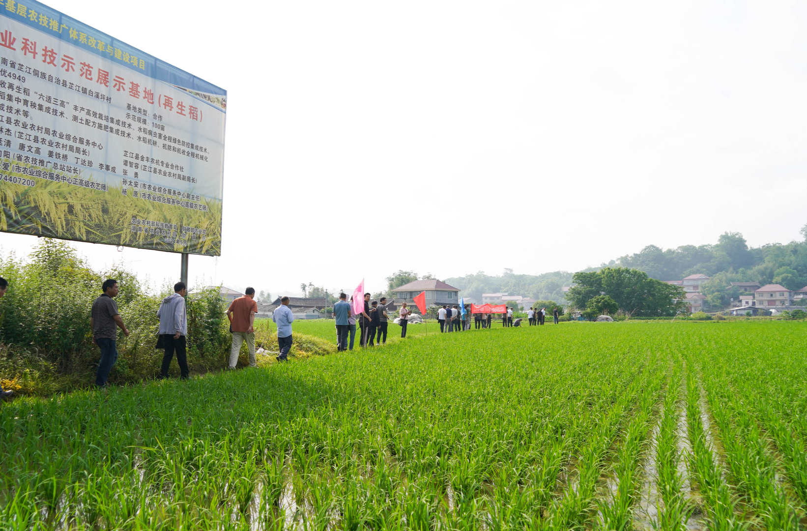 芷江举办农技推广补助项目示范基地观摩培训会