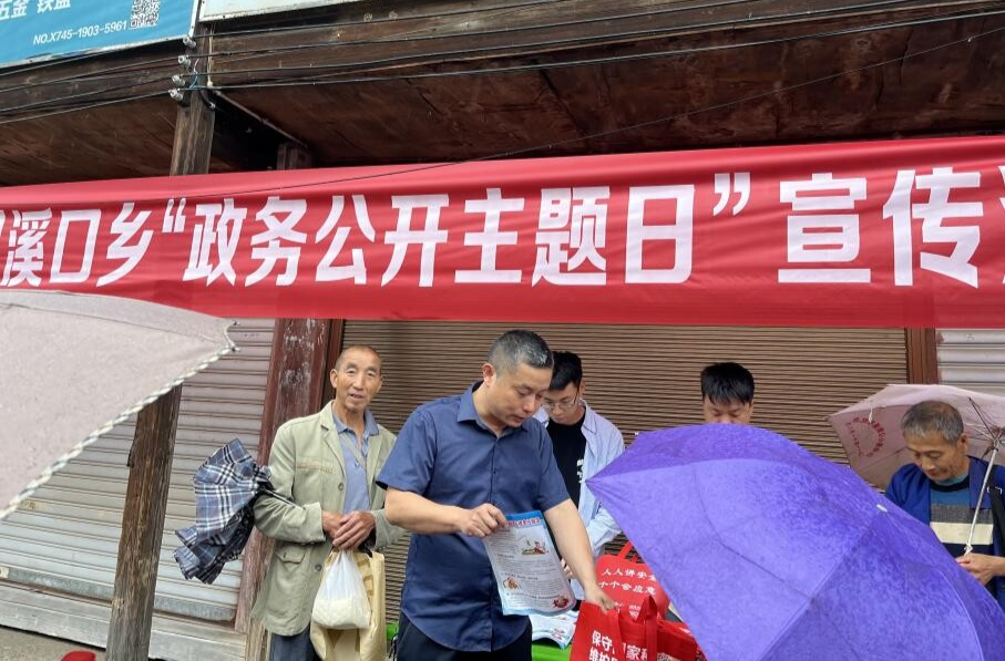 梨溪口乡开展“政务公开主题日”宣传活动 深化政民互动
