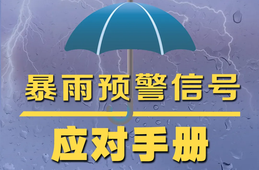 暴雨来袭 ，请收好这份“应对手册”