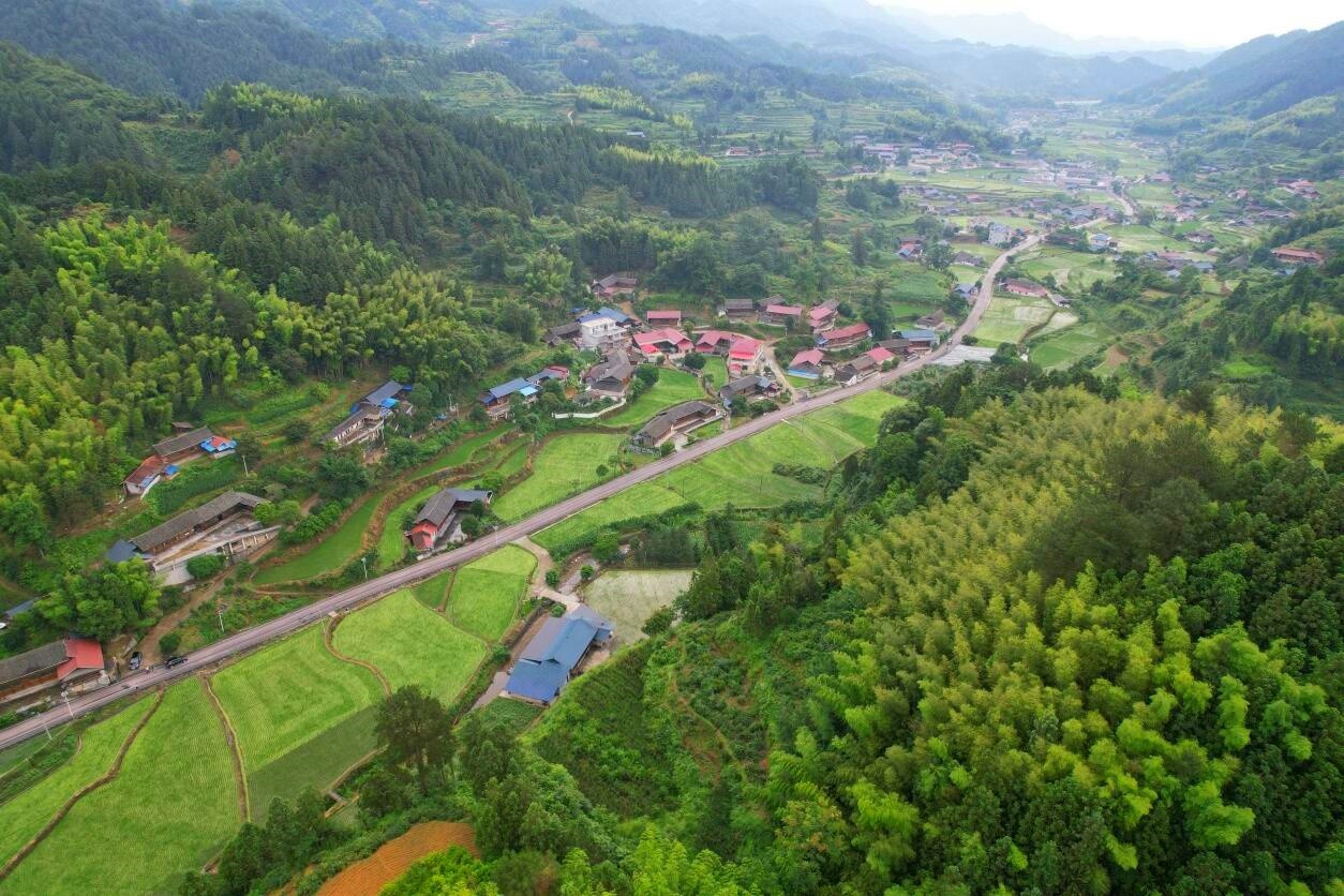 三道坑原始次森林景区公路建设有序推进 助力乡村旅游焕发新活力