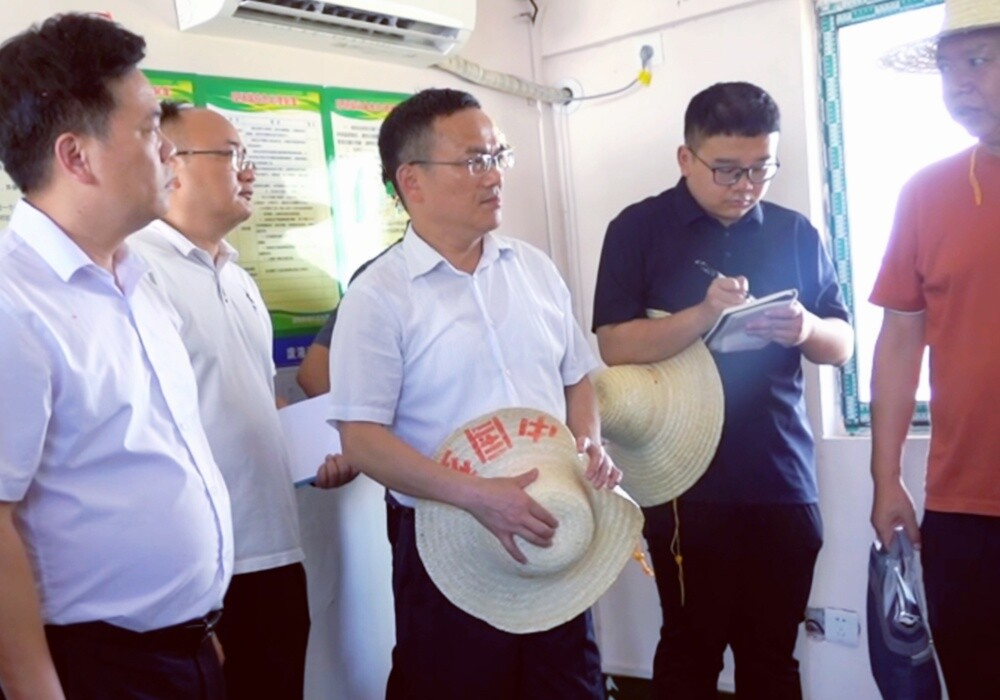 梁元和调研县城污水管网建设