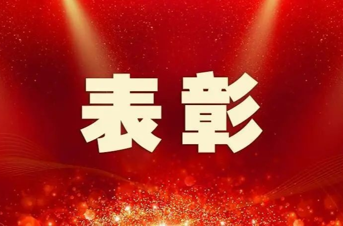 表彰大会发言摘登 ② | 以文惠民涵养精神力量 以文化人厚植文明底蕴