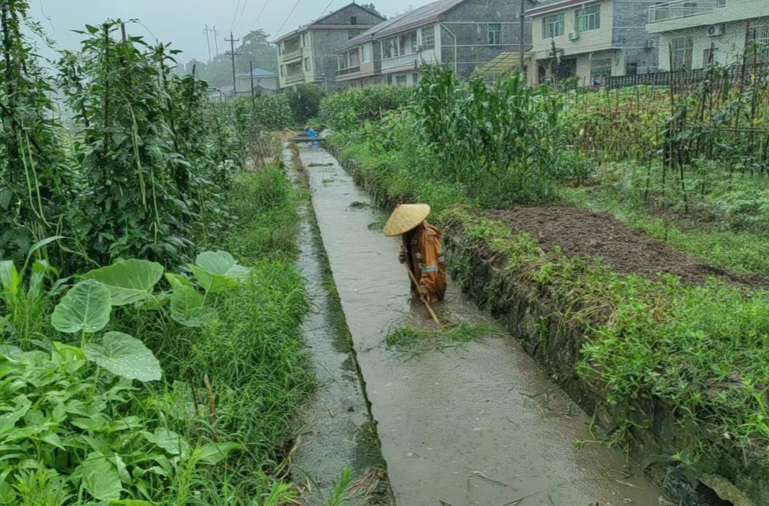 新店坪镇荷叶塘村：冒雨清淤疏渠 保障农田安全