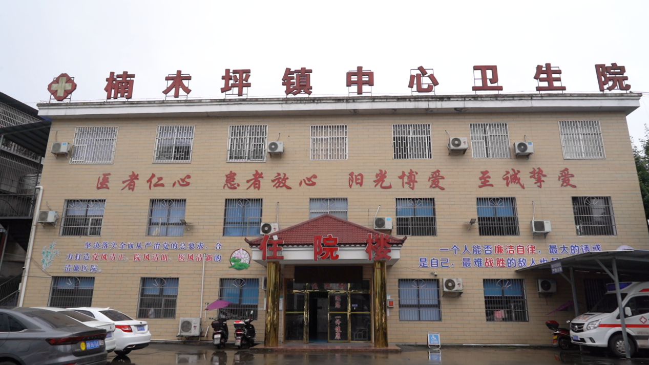 楠木坪镇卫生院：筑牢乡村防汛“健康堤坝”