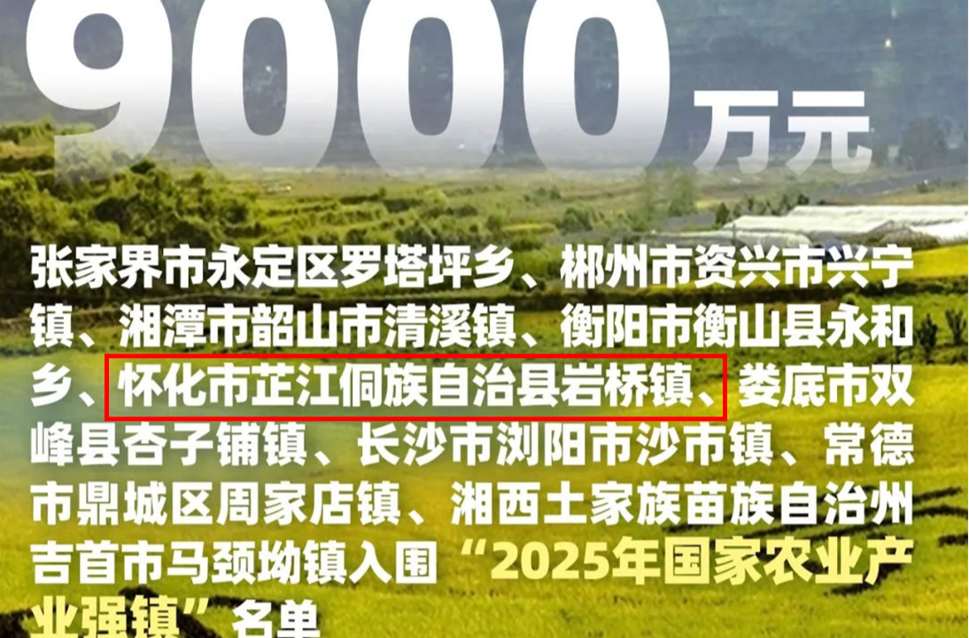 中央财政奖补，芷江斩获一项→