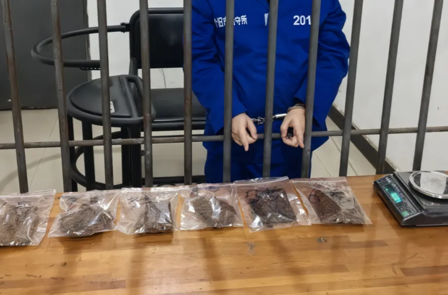 看见这种“粑粑丝”，马上报警！