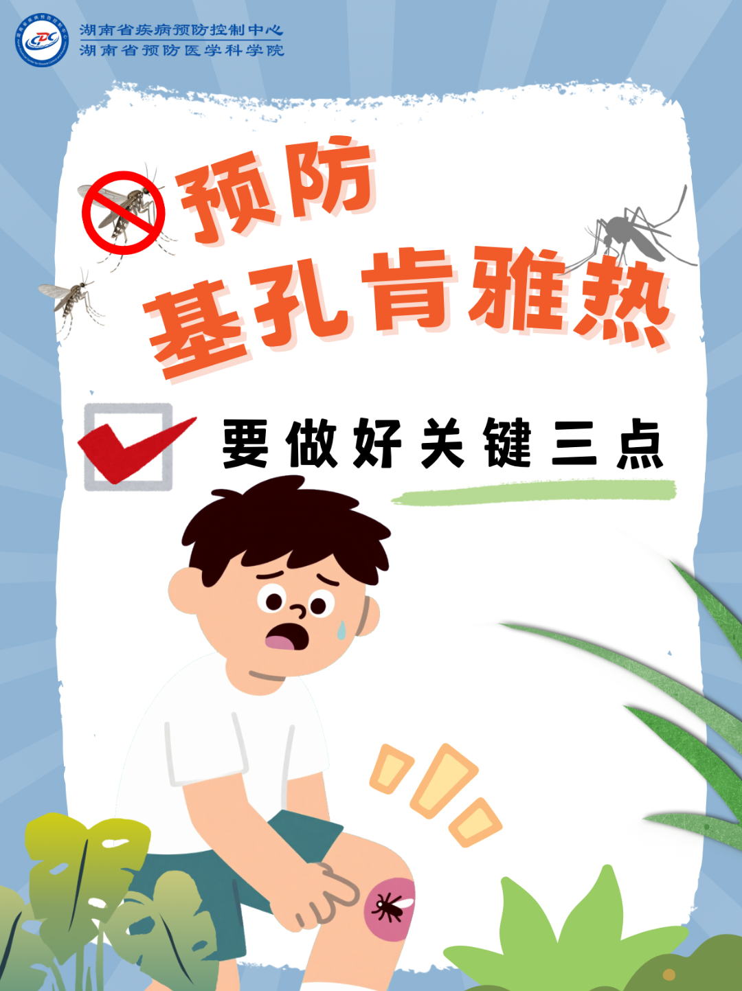 预防基孔肯雅热，做好关键三点→