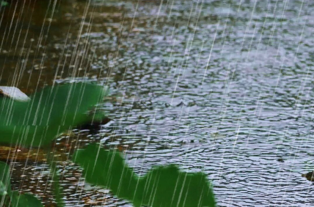 防汛关键期，如何安全避险？