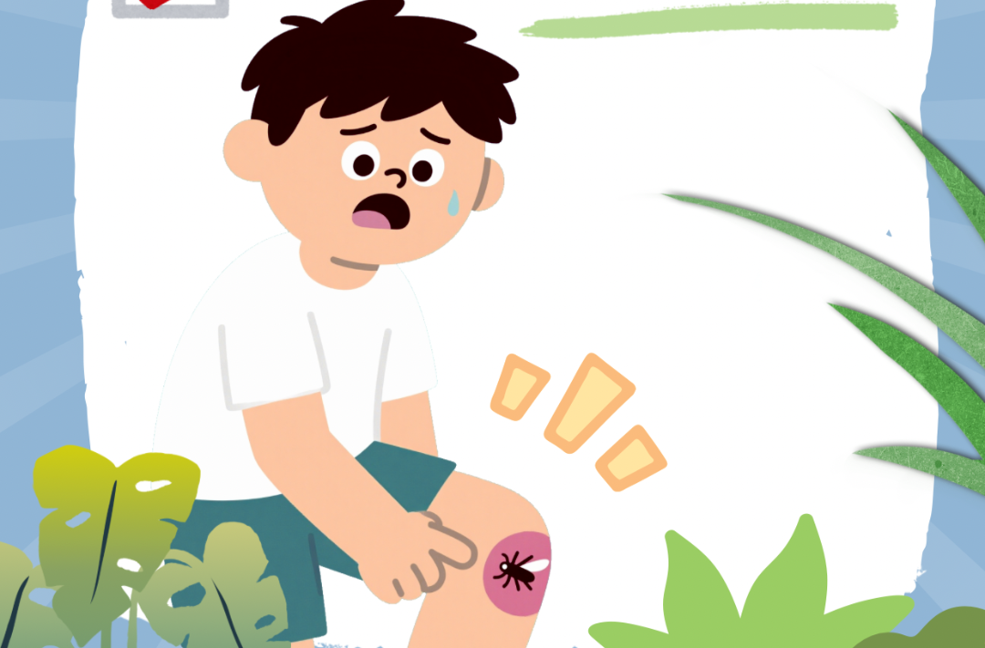 预防基孔肯雅热，做好关键三点→