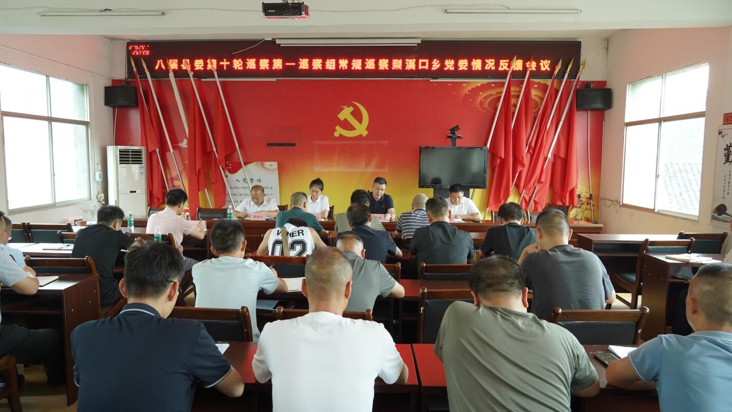 县委第一巡察组巡察梨溪口乡党委情况反馈会召开