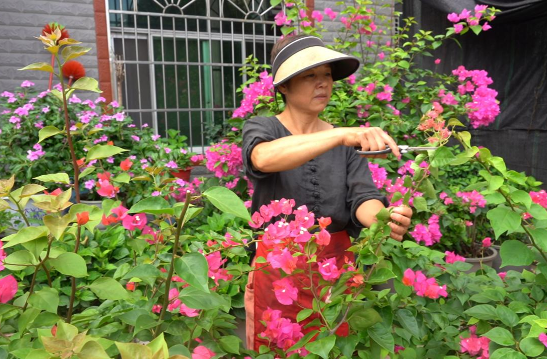 岩桥镇：共襄盛会齐奋进 同绘家乡新画卷
