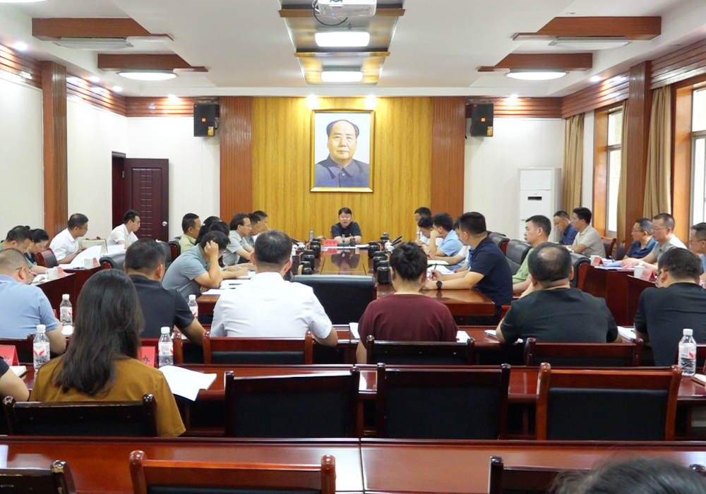 梁志平主持召开“三大盛会”工作调度会
