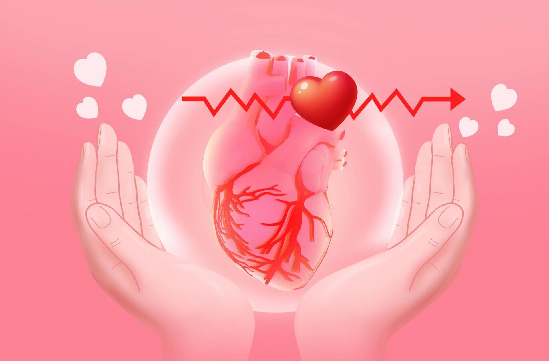 从认知到行动 守护每一次心跳 | 世界心脏日