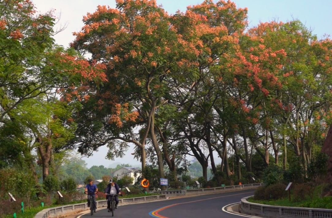 芷江小河口秀水路“换装”三色公路