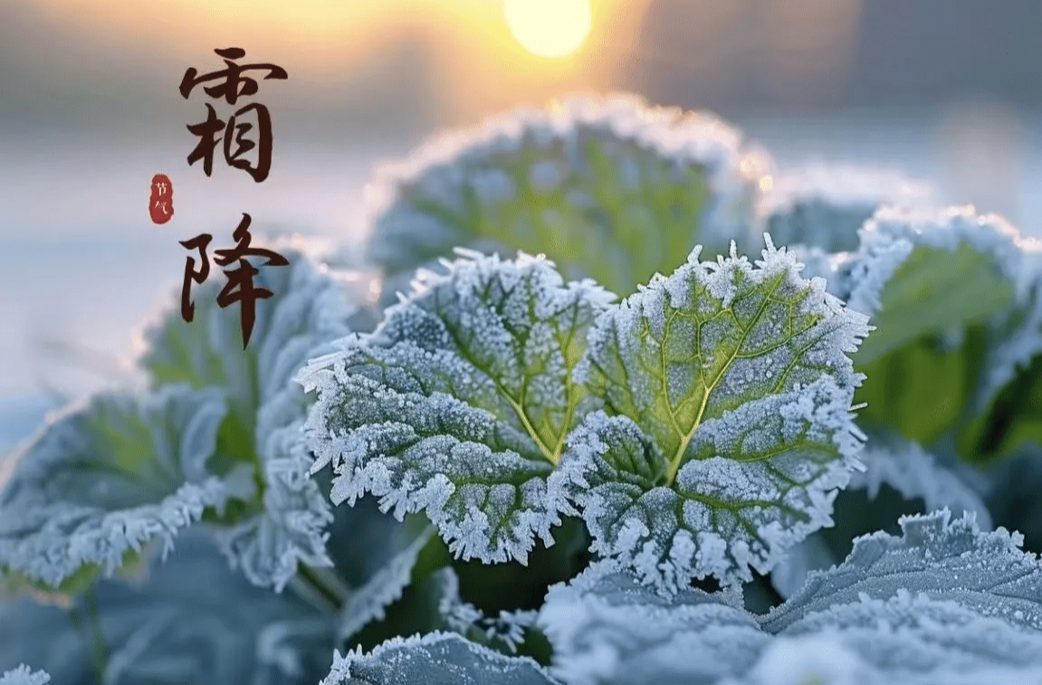 霜降时节，如何科学养生？