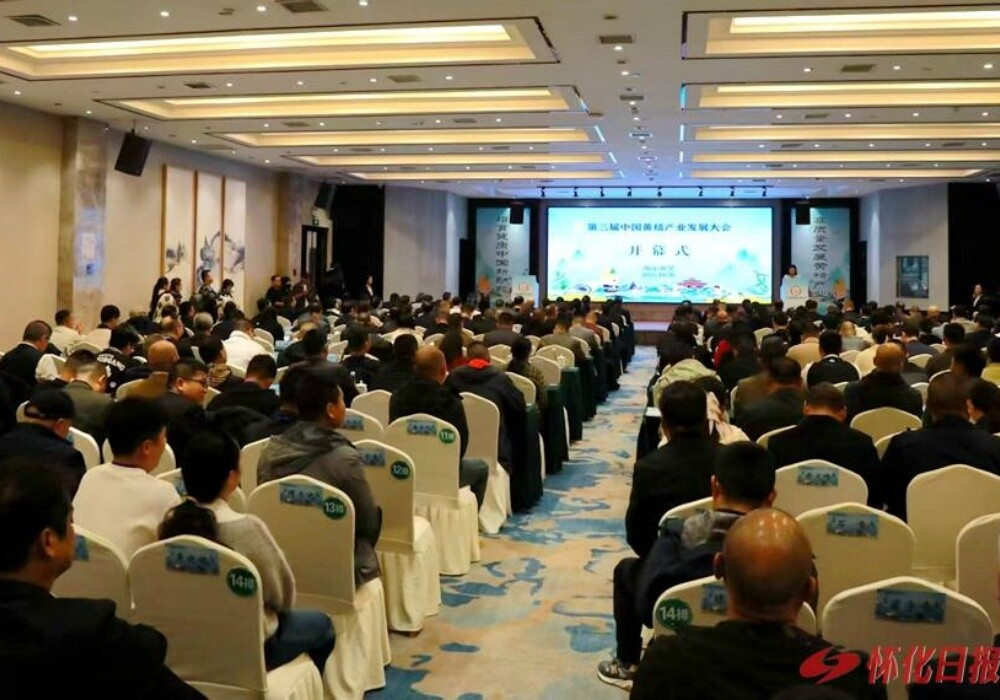 23省市区产业代表齐聚新晃“挖”黄精