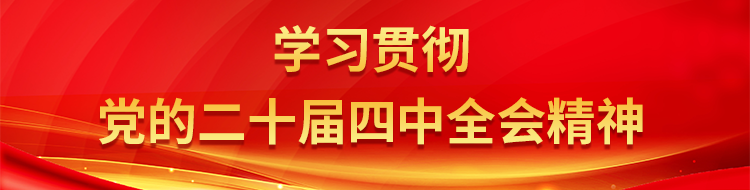 学习贯彻党的二十届四中全会精神