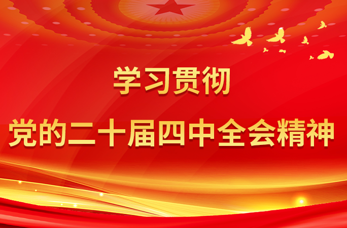 学习贯彻党的二十届四中全会精神