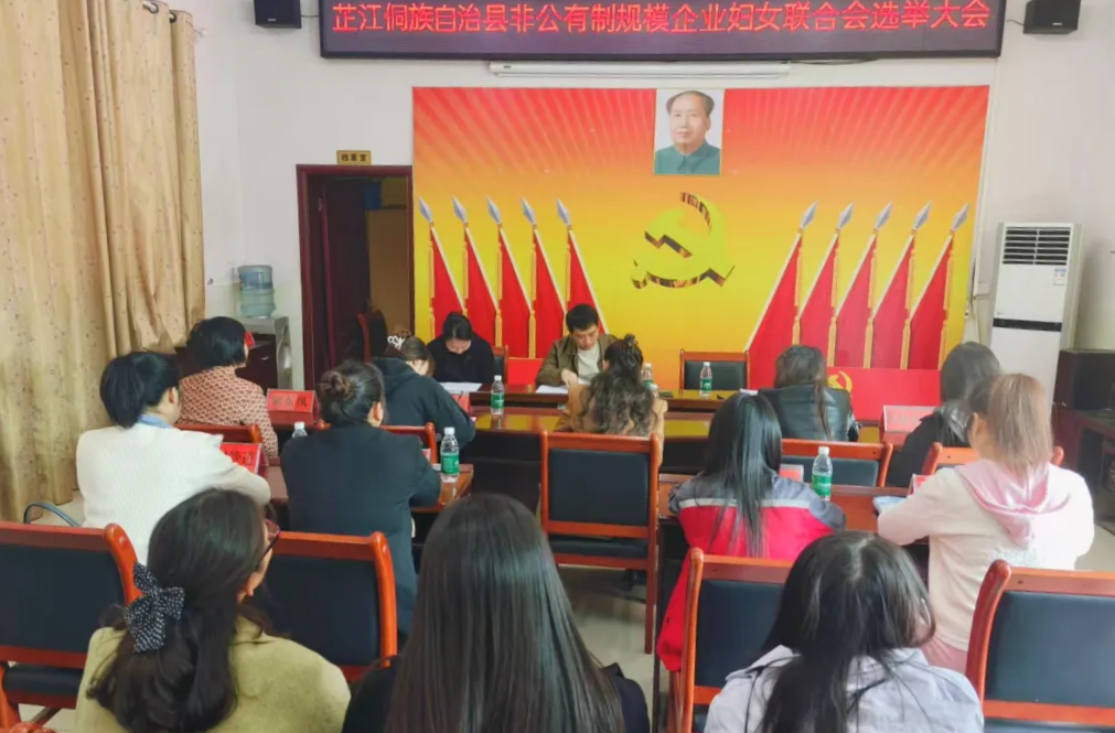 芷江非公有制规模企业妇女联合会正式成立
