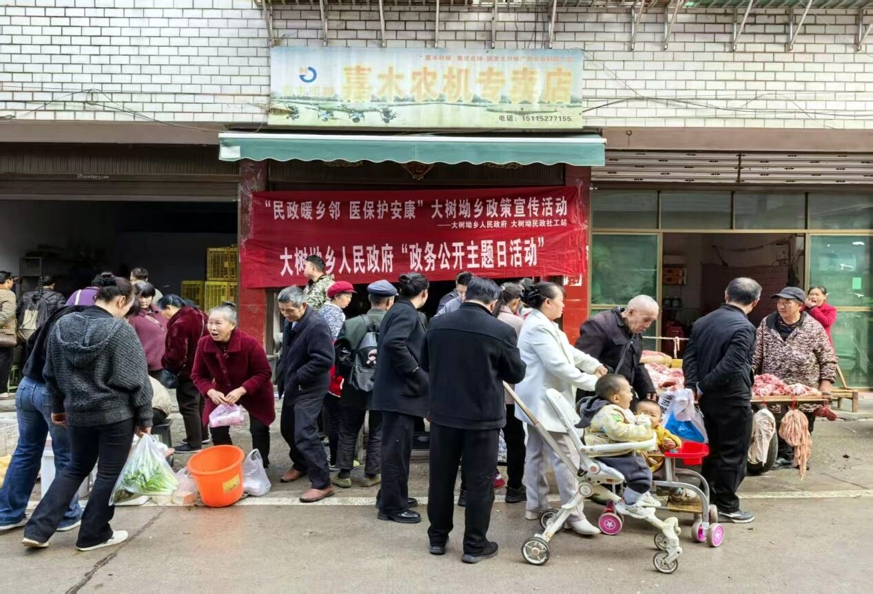 大树坳乡开展“民政暖乡邻 医保护安康”政策宣传活动